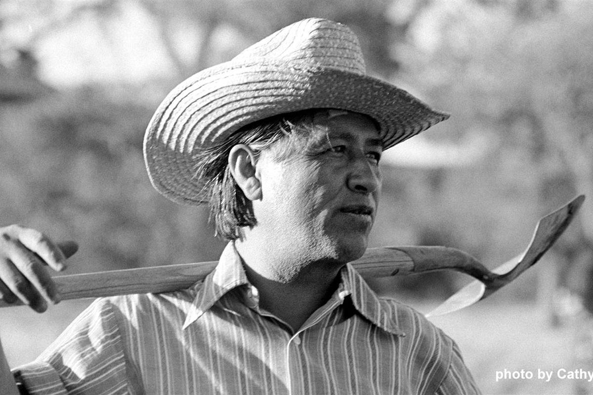 Resultado de imagem para cesar chavez