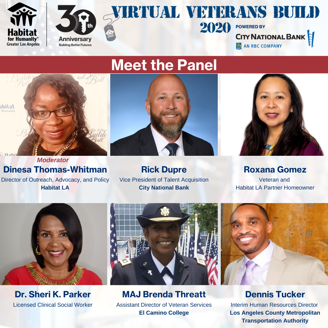 Graphic for the panel speaking during the Virtual Veterans Build